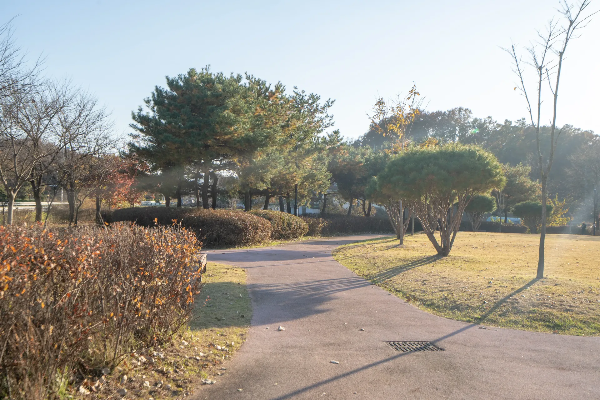 수북수북 옥천 공원의 산책로